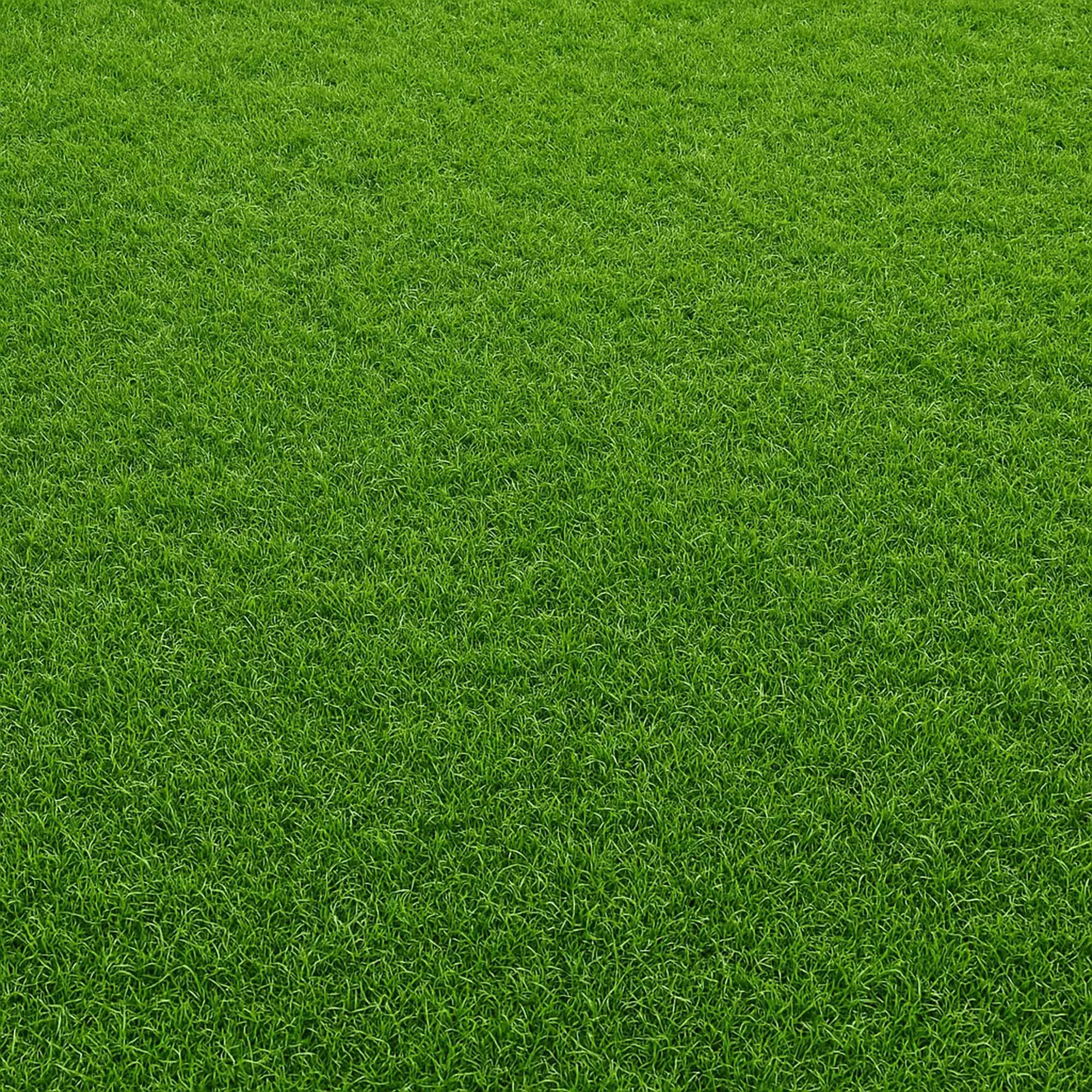 Background de pelouse de football